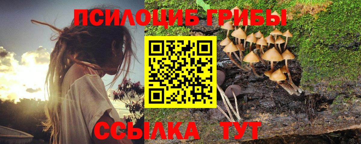 Гудермес  где купить наркоту  Вход с VPN  Галлюциногенные грибы Psilocybine cubensis 